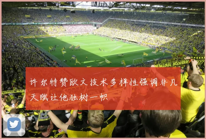 许尔特赞欧文技术多样性强调非凡天赋让他独树一帜